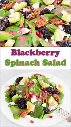 Blackberry Spinach Salad - Joy In Every Season