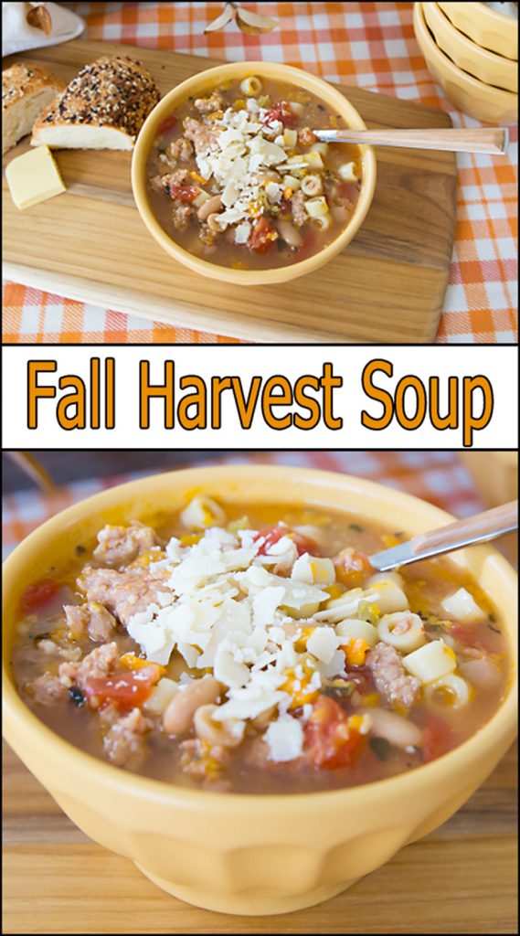 Fall Harvest Soup - Joy In Every Season